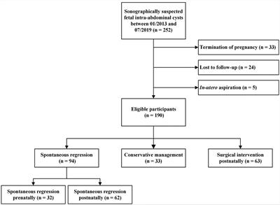 Outcomes of sonographically-suspected fetal intra-abdominal cysts: Surgical intervention, conservative management and spontaneous regression